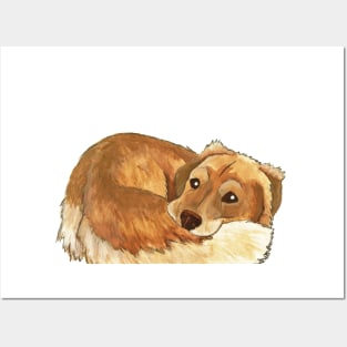 Golden Retriever Posters and Art